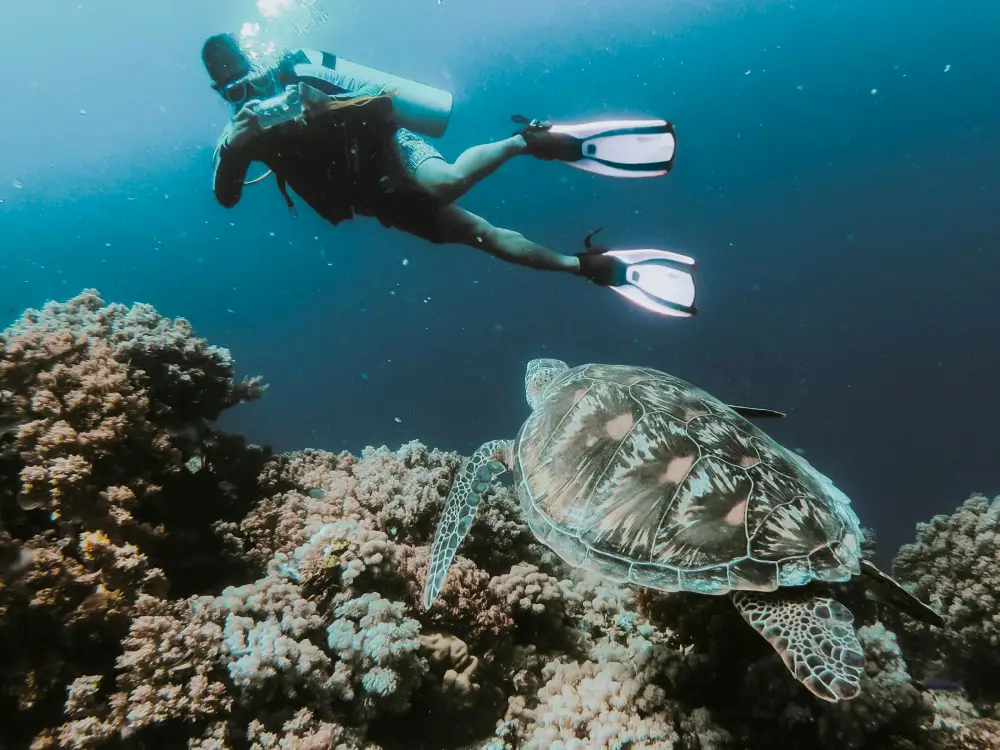 A swimmer exploring clear Philippine water